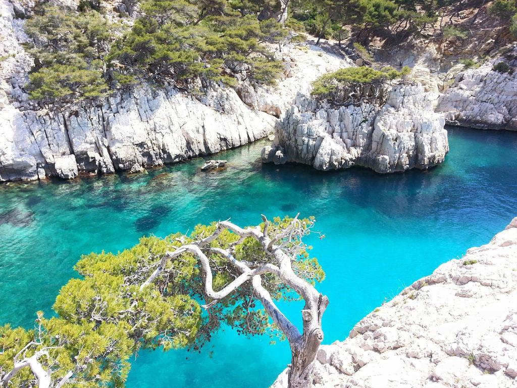 La Palmeraie Μασσαλία Εξωτερικό φωτογραφία