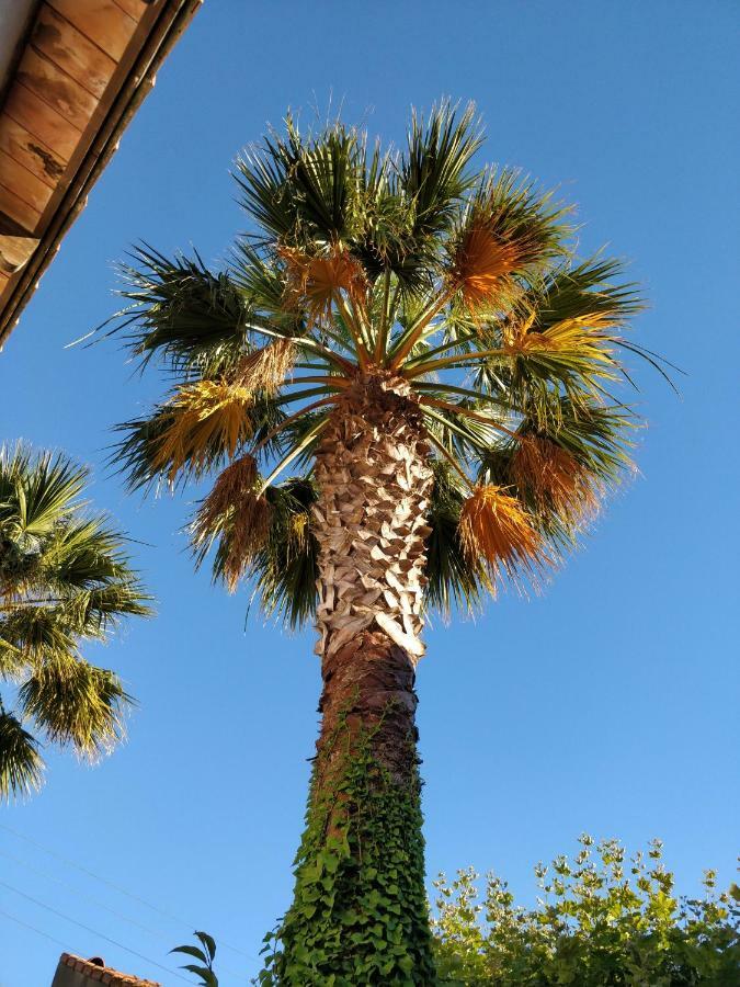 La Palmeraie Μασσαλία Εξωτερικό φωτογραφία