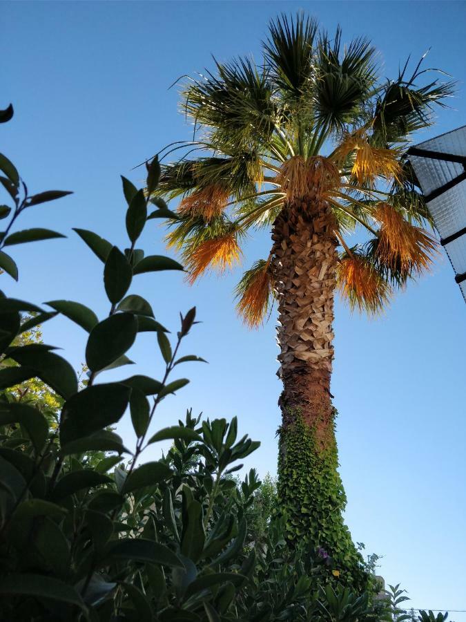La Palmeraie Μασσαλία Εξωτερικό φωτογραφία