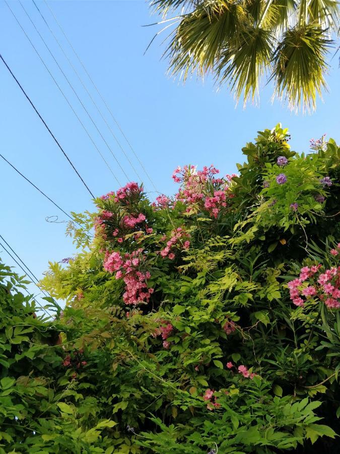 La Palmeraie Μασσαλία Εξωτερικό φωτογραφία